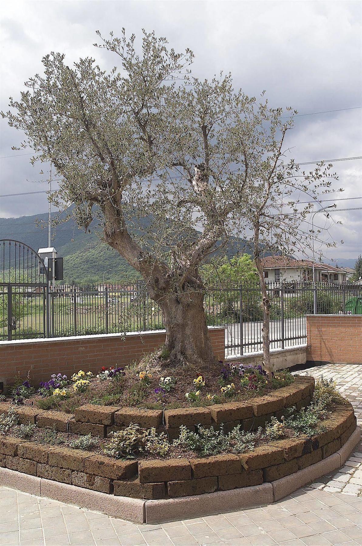 Sangano Hotel San Giorgio מראה חיצוני תמונה